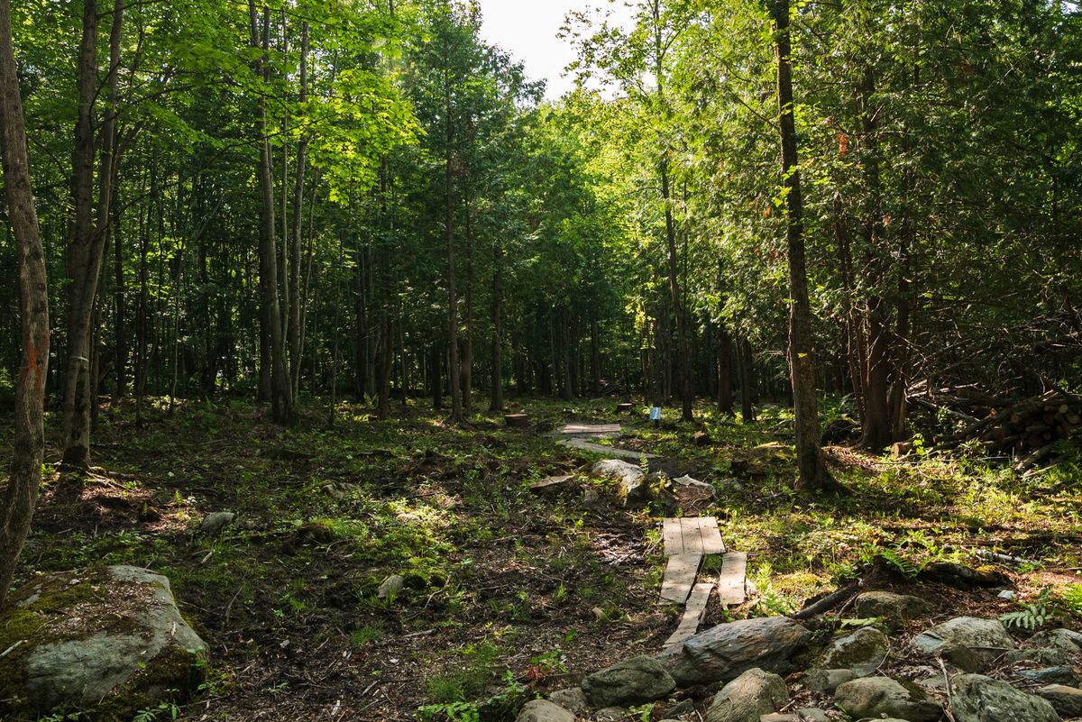 Hole 15