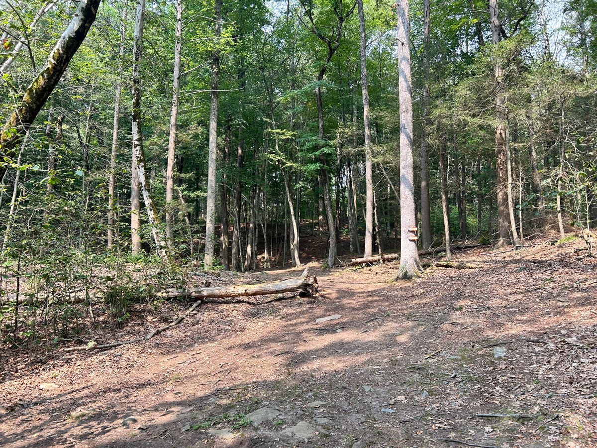 Hole 10