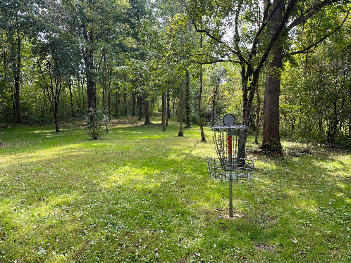 Hole 12 Basket