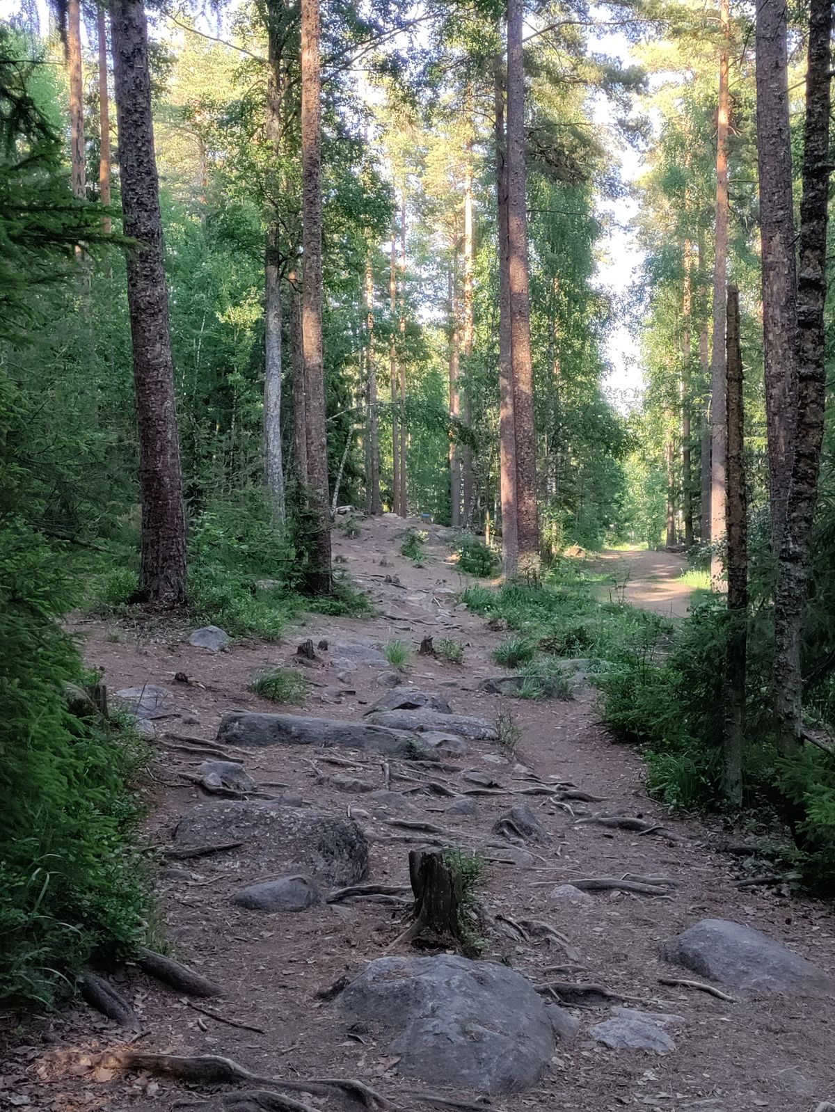 5 väylä