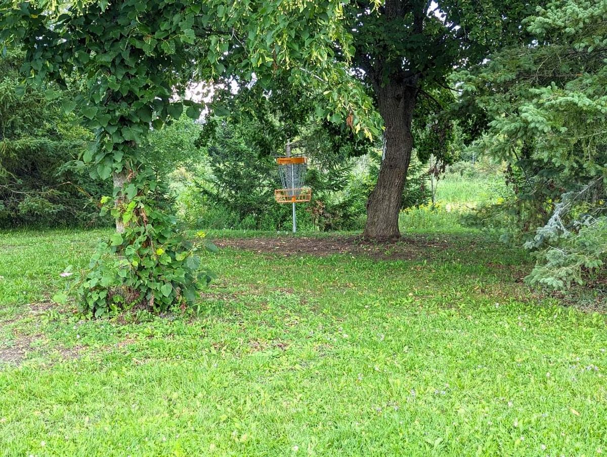 Basket Hole 7.