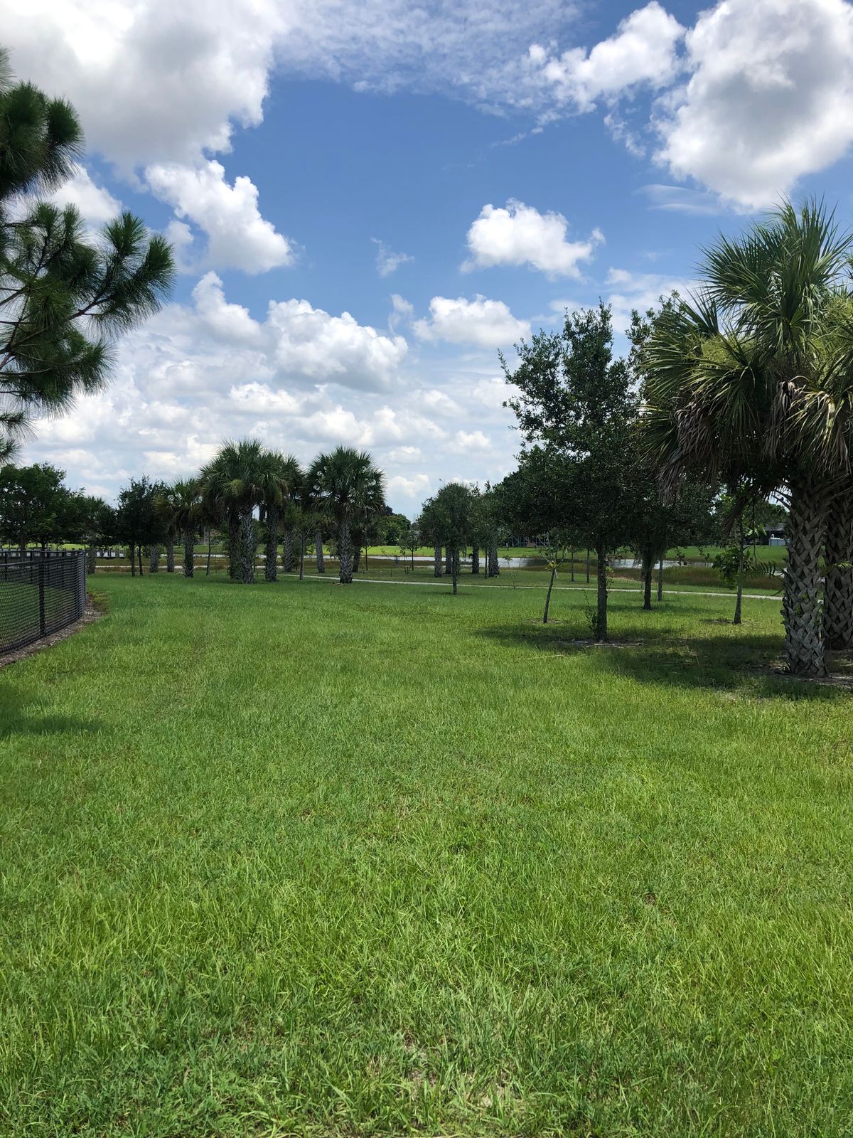 Hole 16