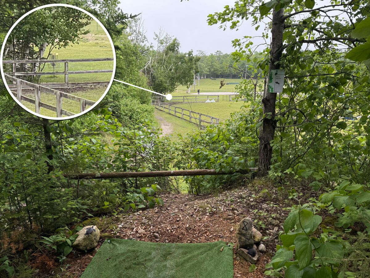 Hole 8 - another elevated tee shot down towards basketball court. Fun shorty