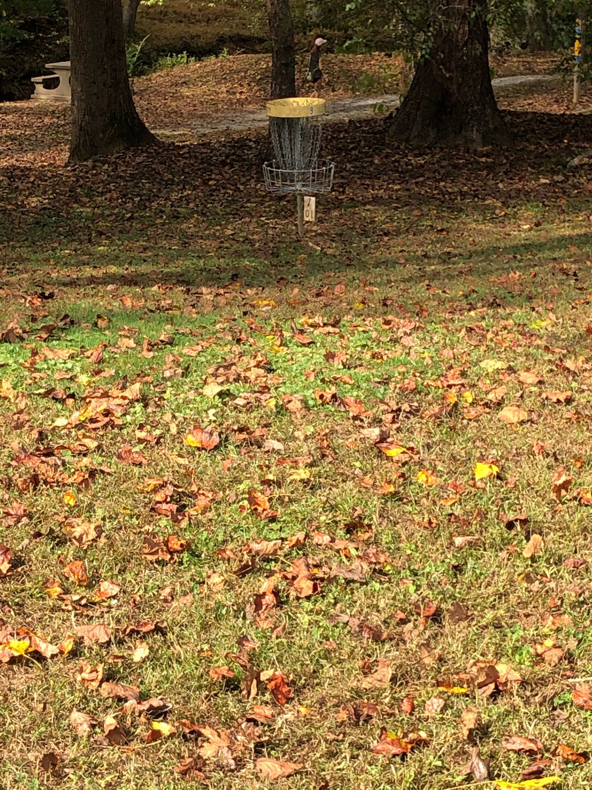 Basket for Hole 9