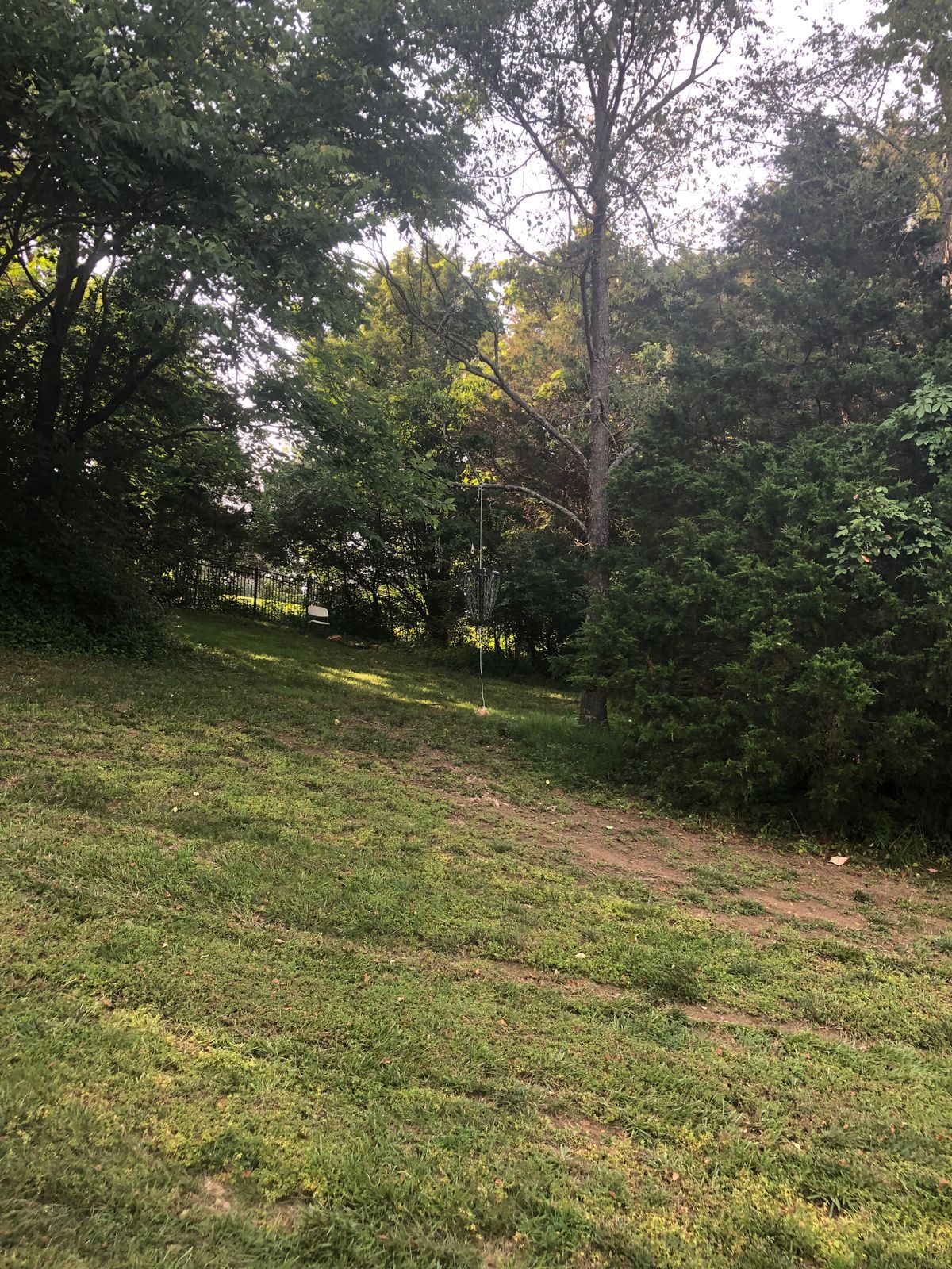 Hole 8 green hanging basket