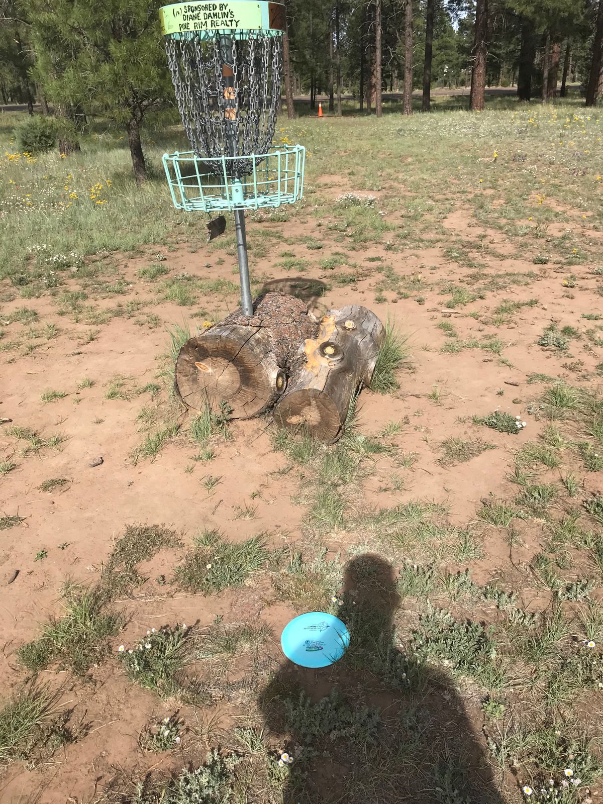 Hole 17