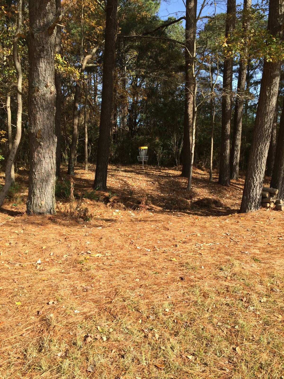 Hole #16 Basket