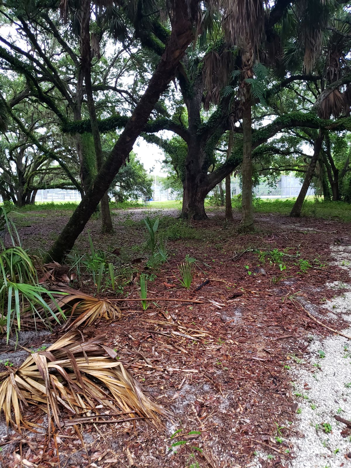 Hole 9 fairway