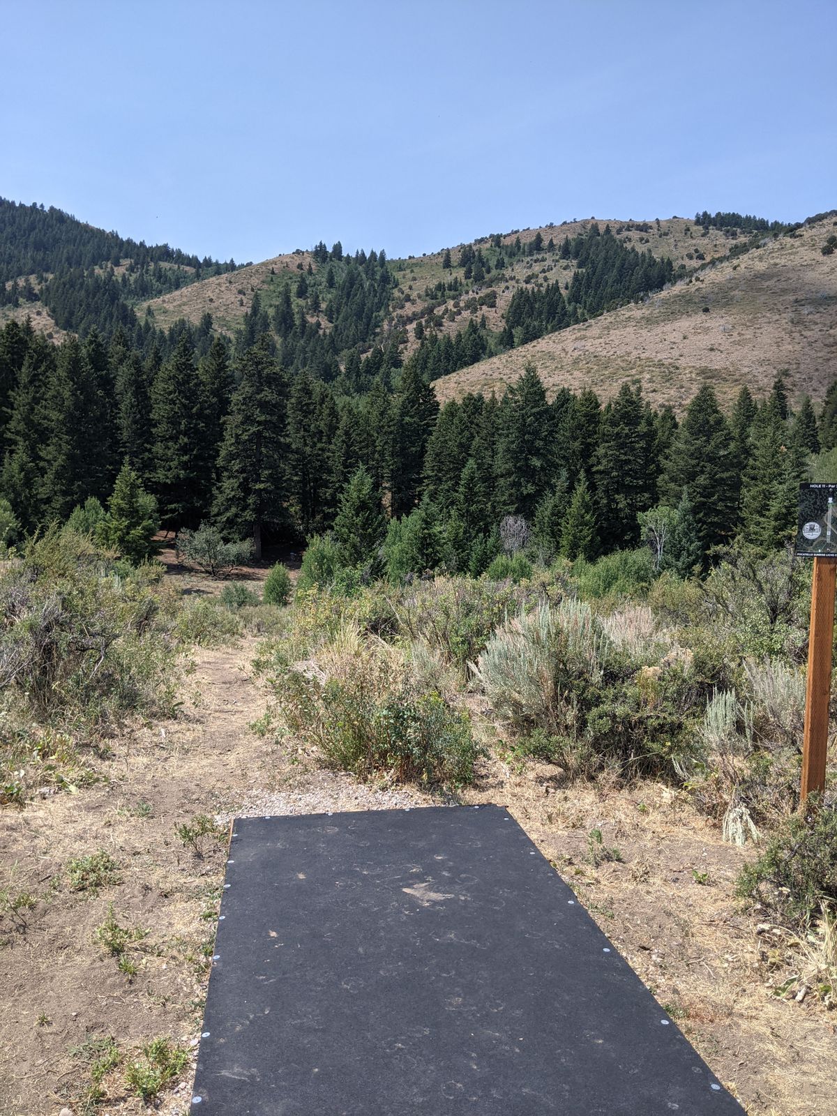 Hole 11