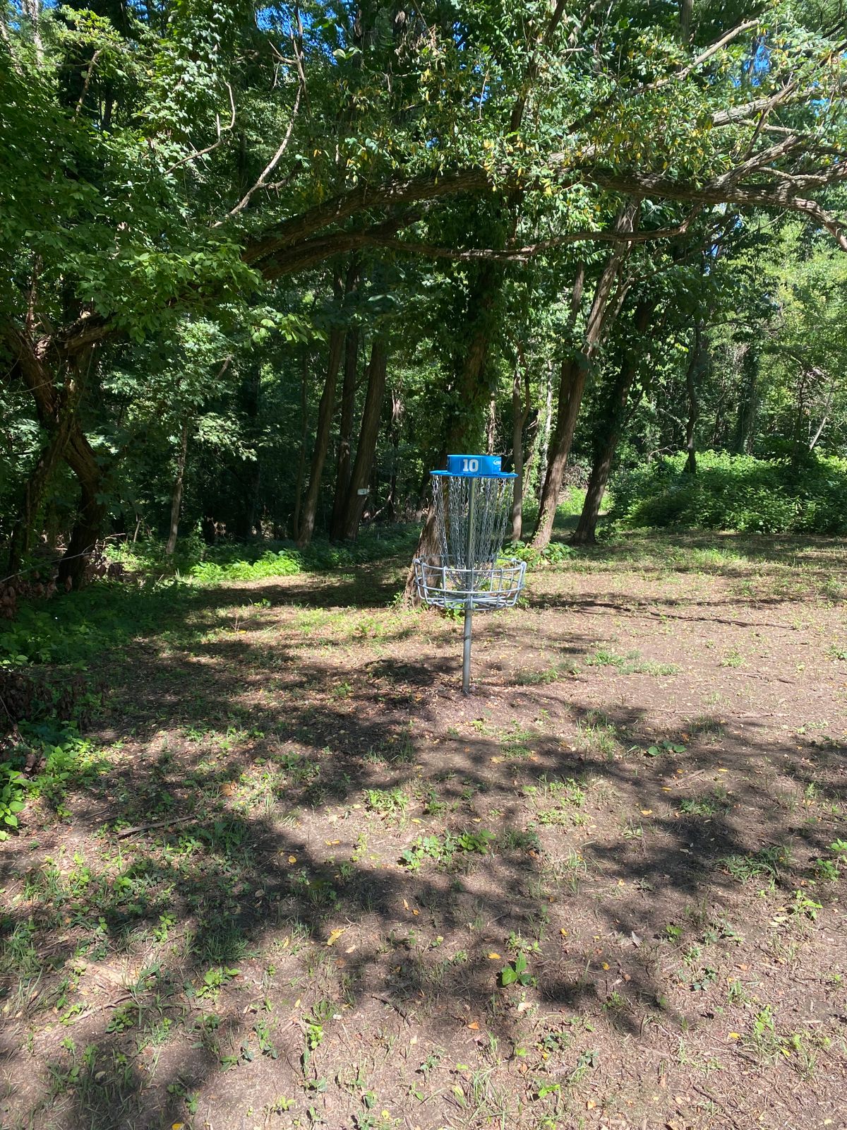 10 basket in B position