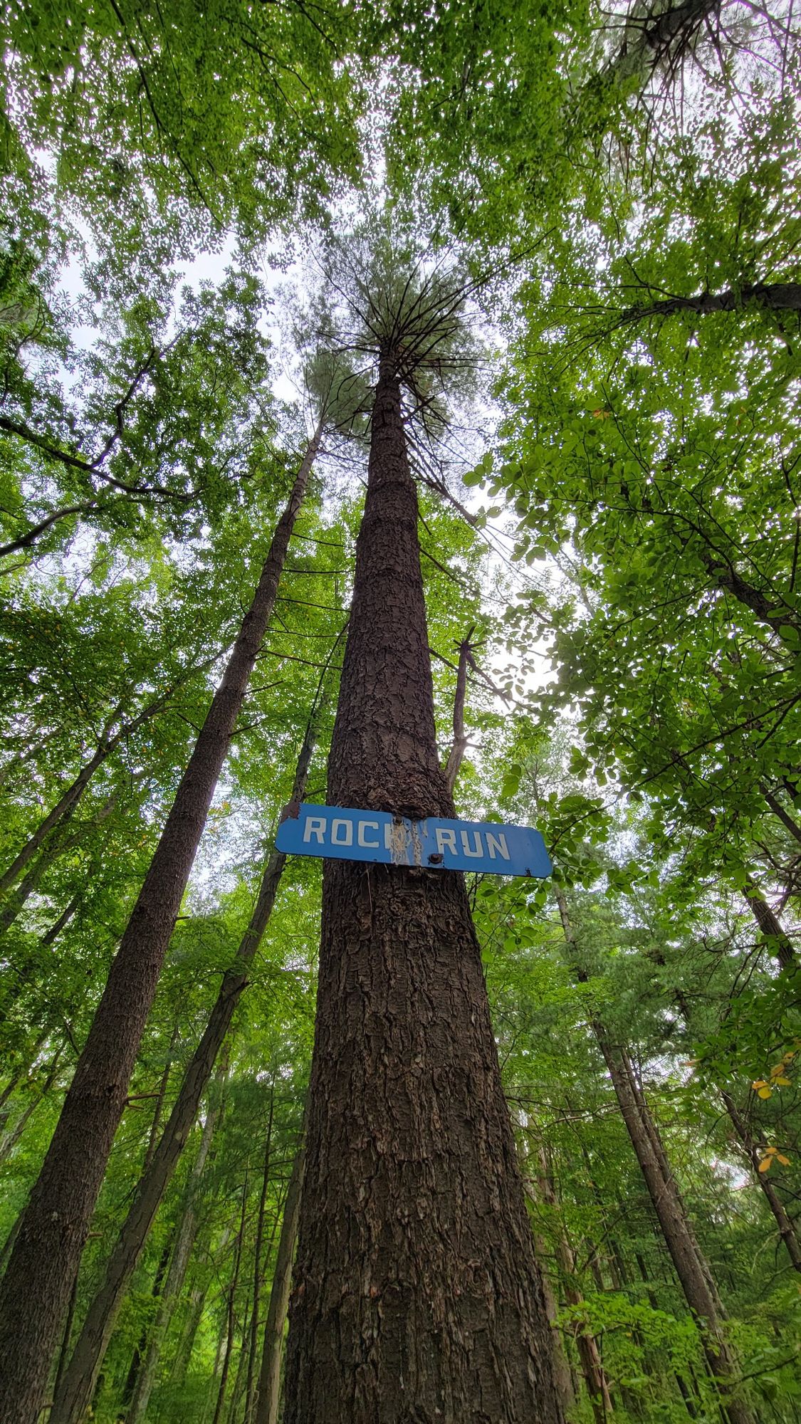 Photo credit: Jay Toutant