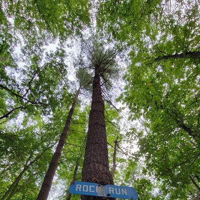 Photo credit: Jay Toutant