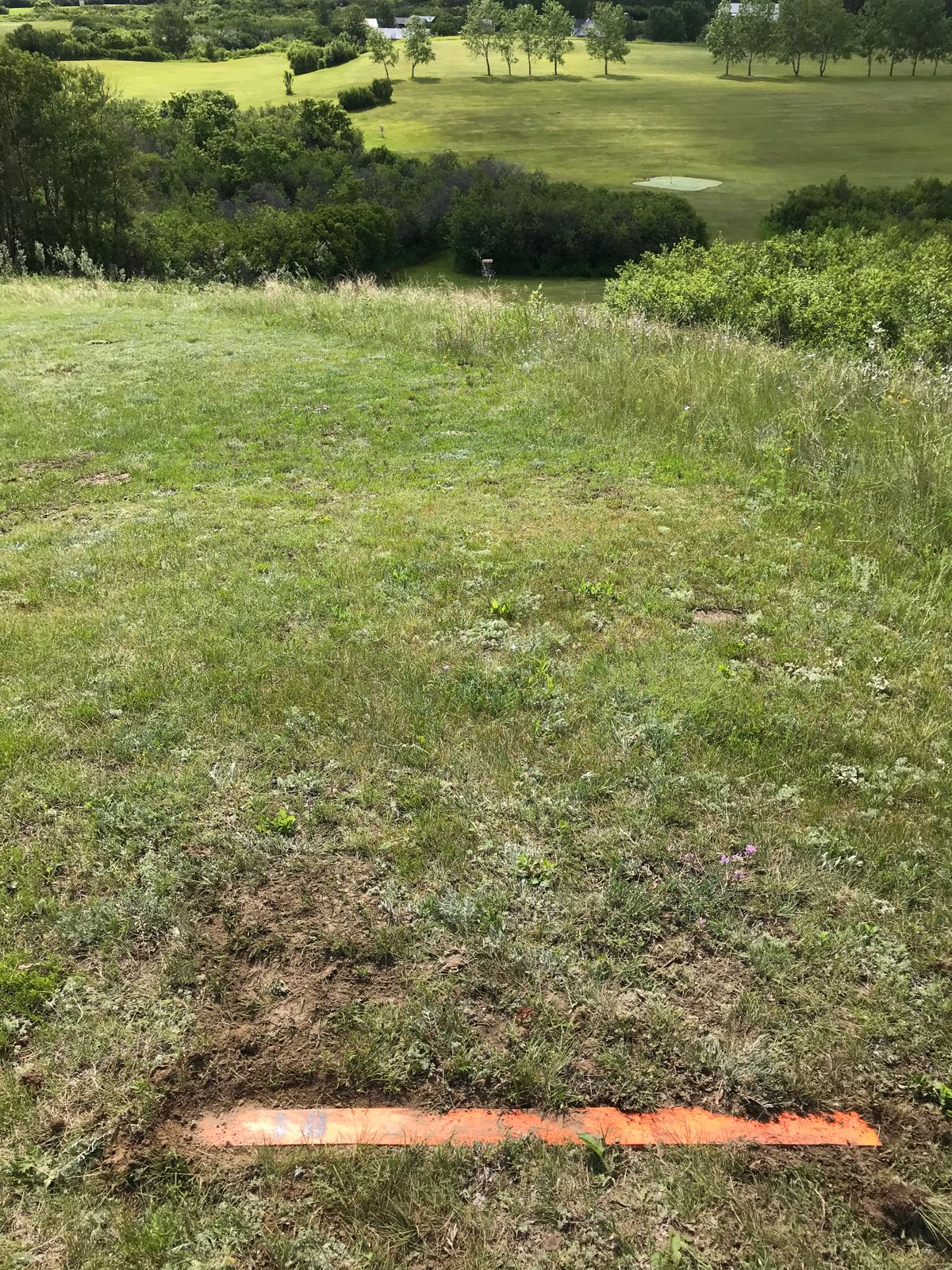 Hole 10. Mind the wind! Short tricky hole!