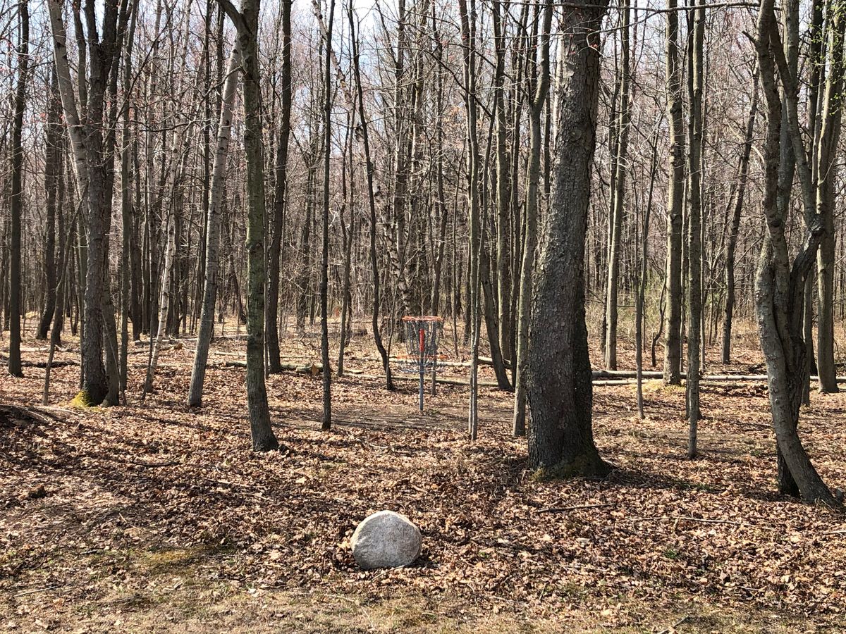 Hole 12 green