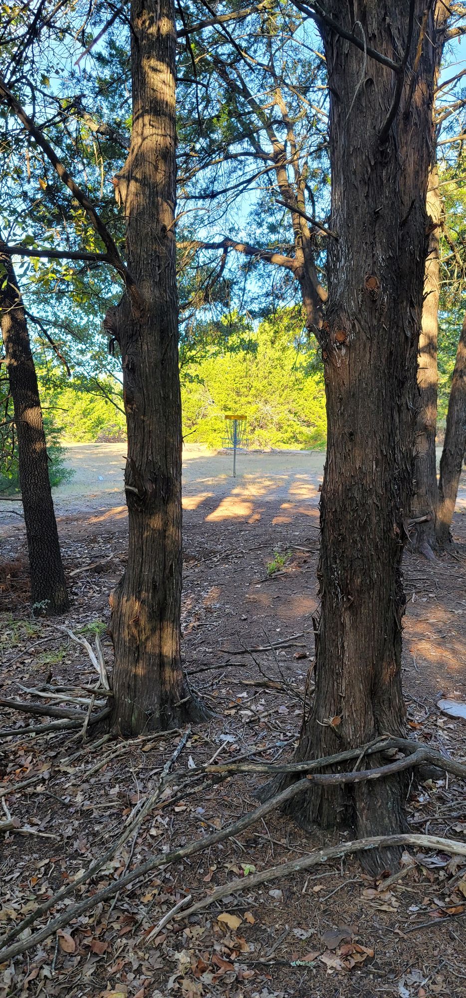 Hole 4 basket