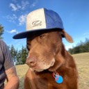 loudoggie