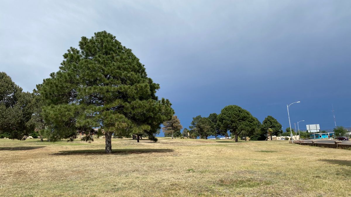 Hole 4