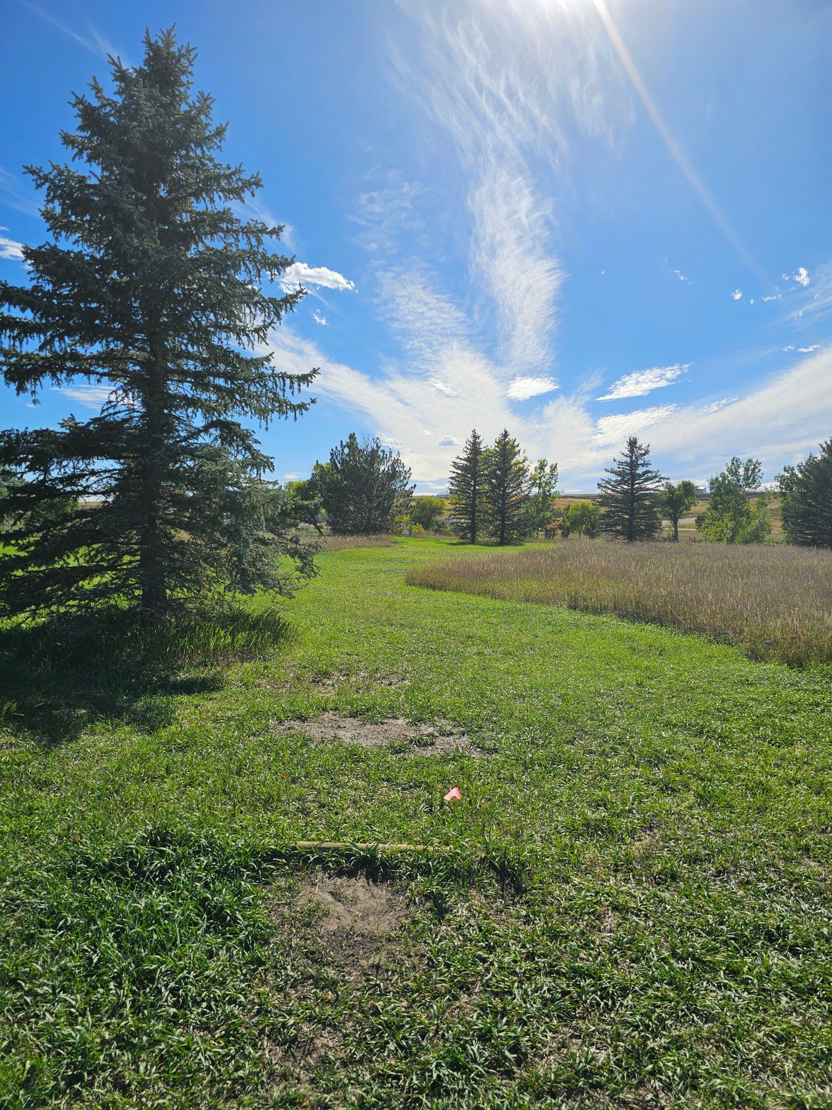 Hole 11