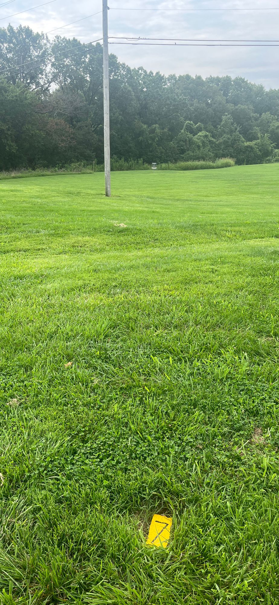 Hole 7 Gold. Par 3