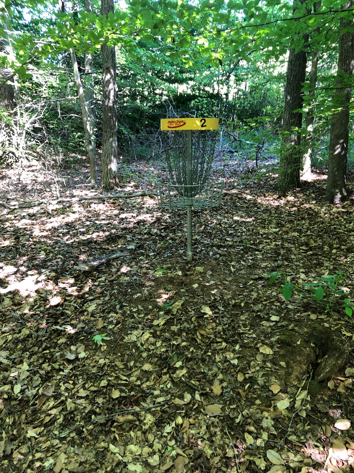 Second hole, off to right of fairway