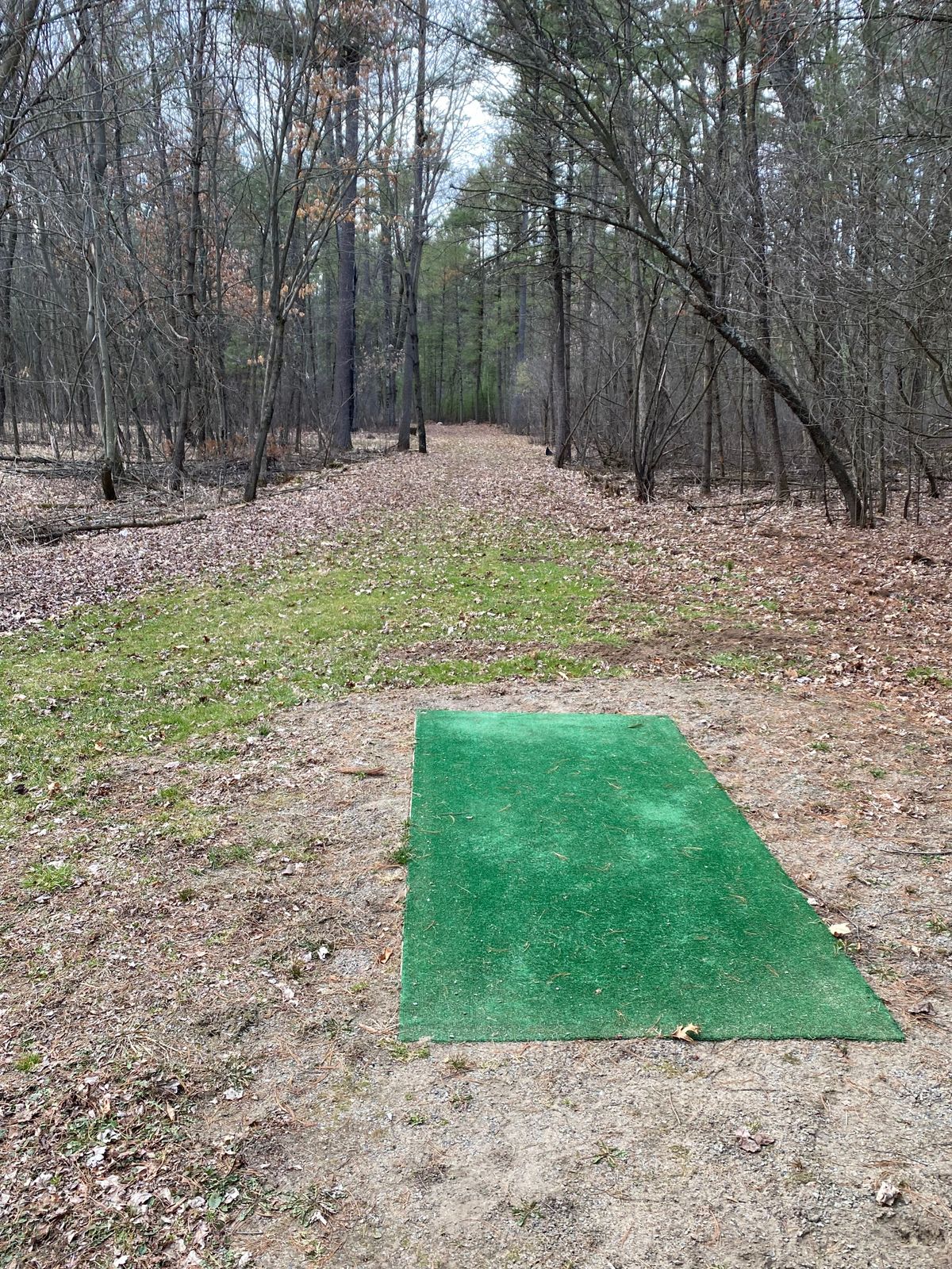 Hole 4