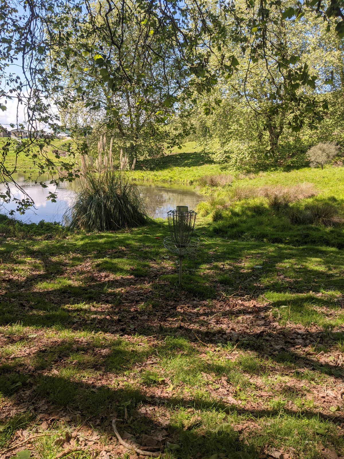 Hole 8 basket