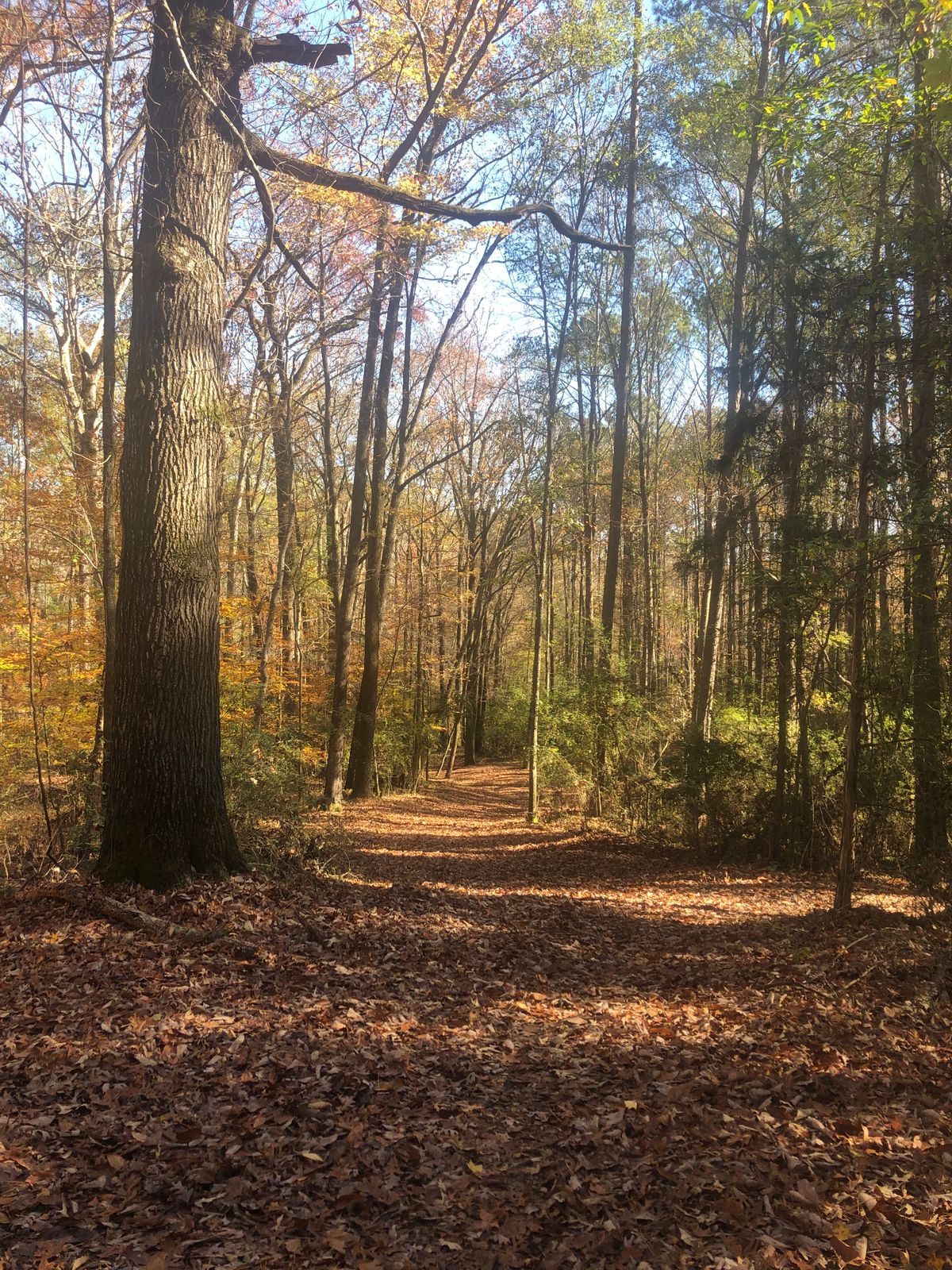 Hole 5