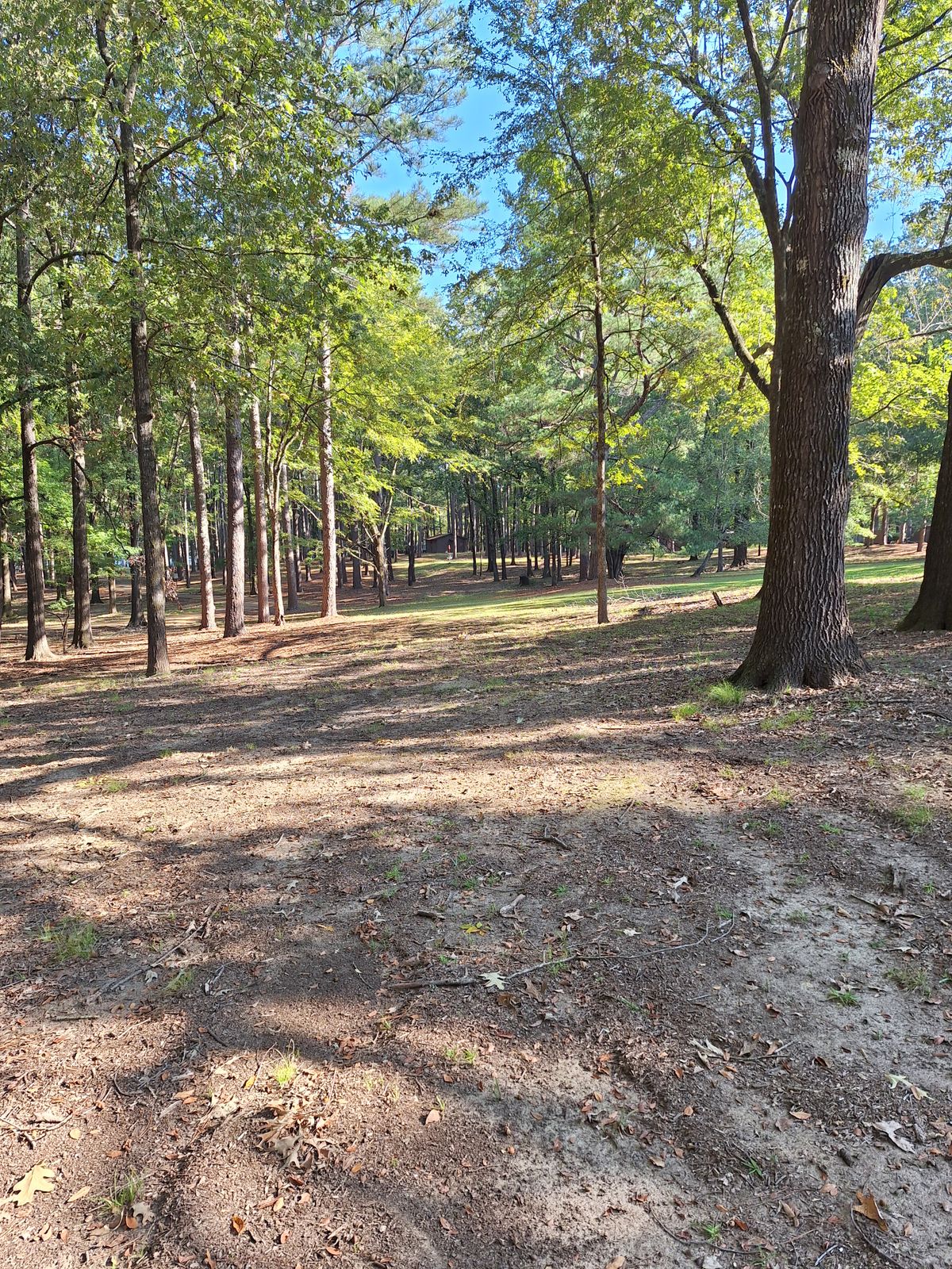 Hole 16