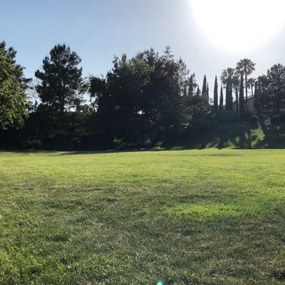 Hole 6