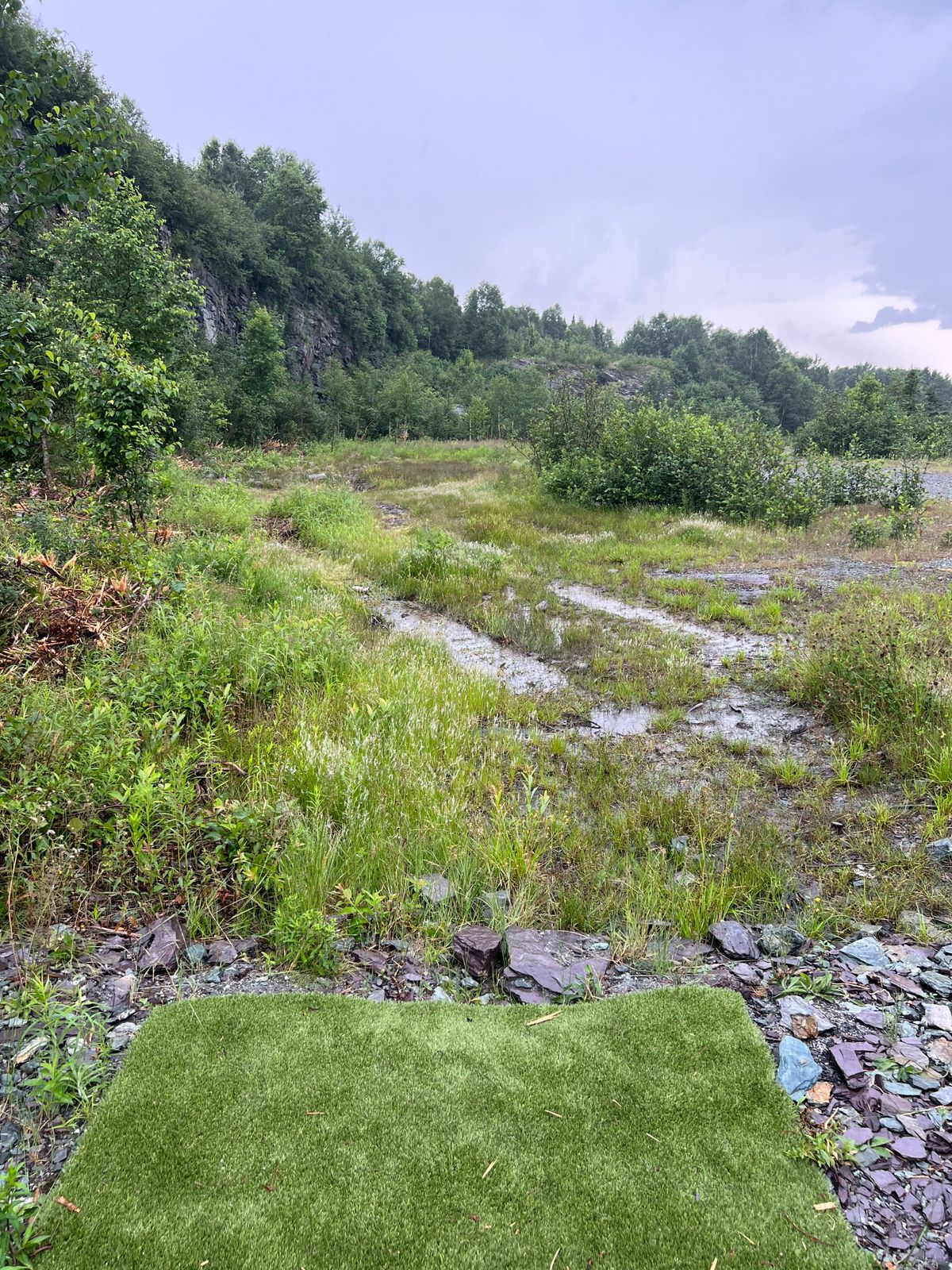 Hole 10C Tee