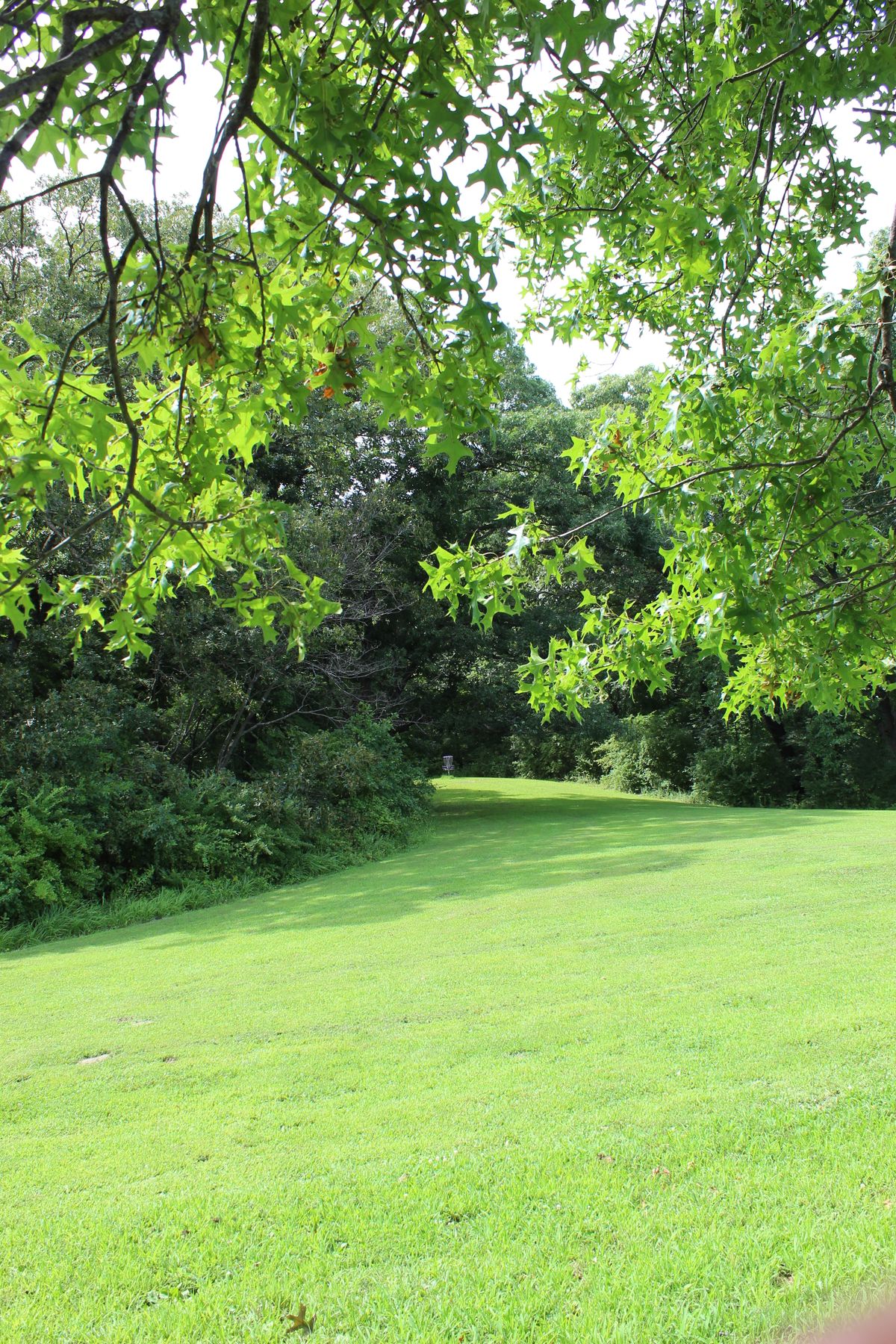 Hole 17 (Basket)