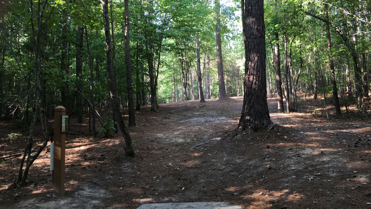 Hole 15
