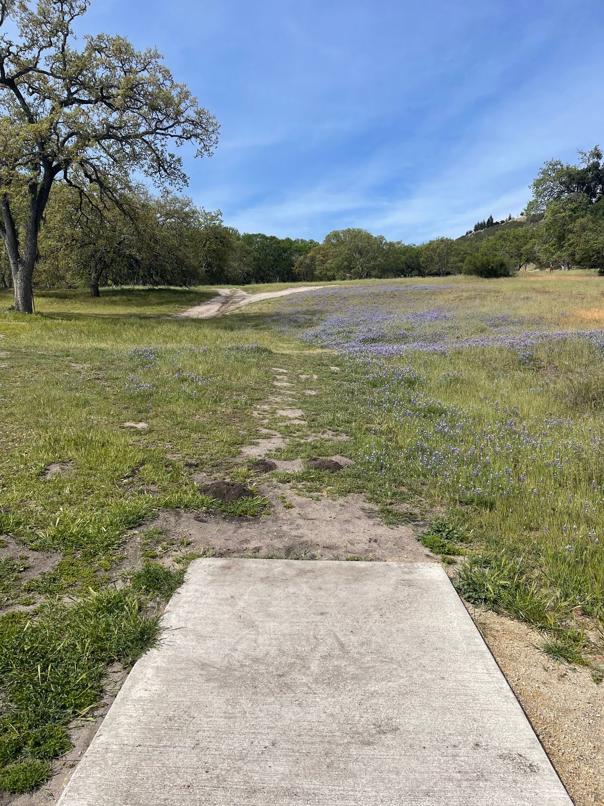 Hole 7A