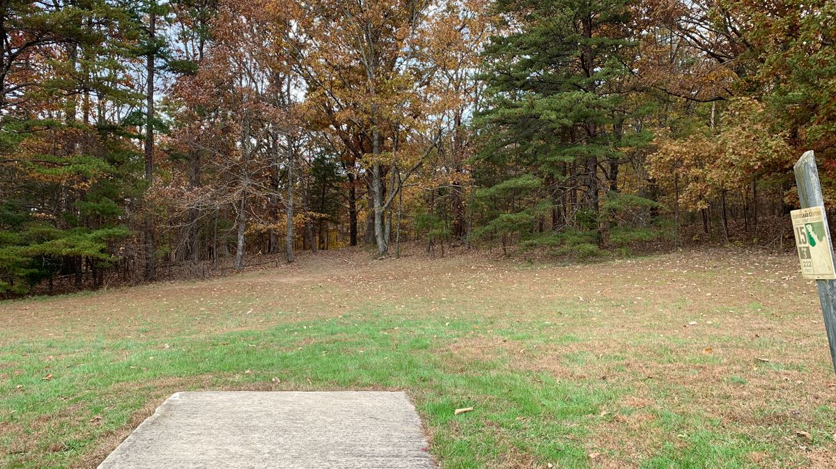 Hole 15