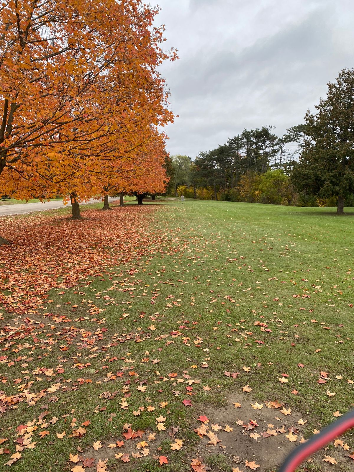 Fall has arrived at hole 1