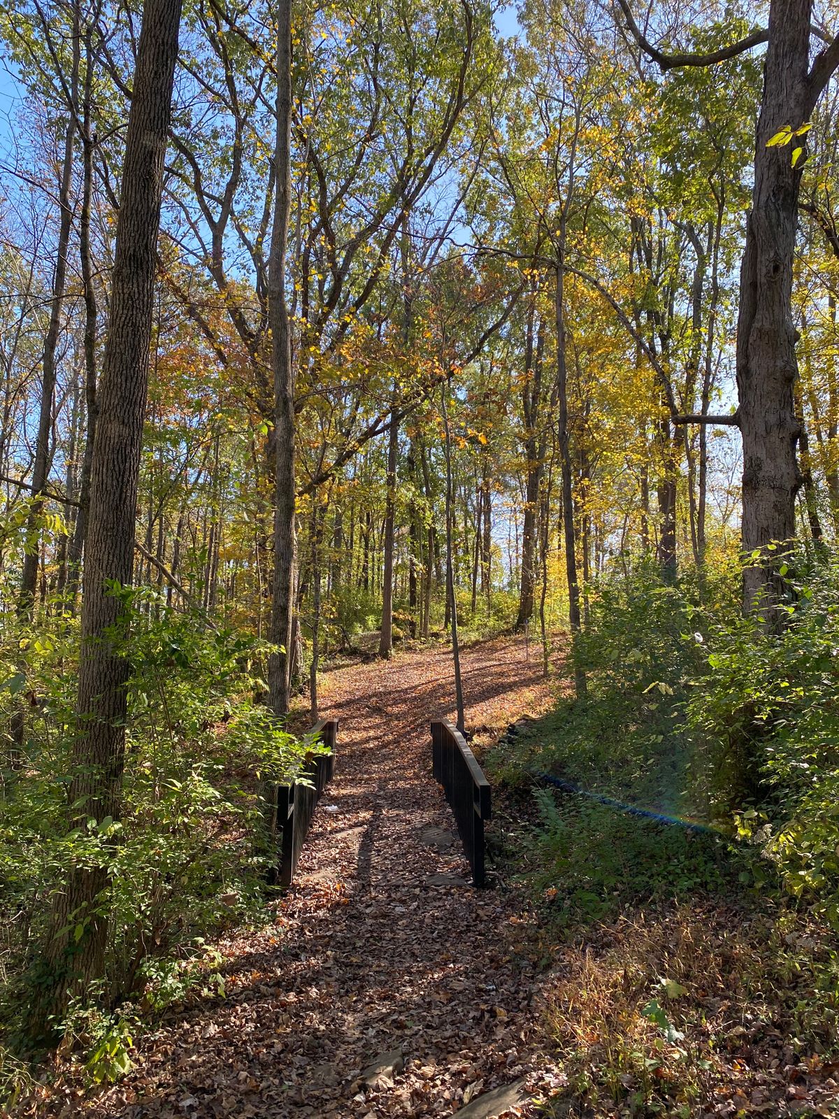 Hole three is a picturesque hole that crosses one of many tributaries feeding Jennings Creek.  A short hole to a pin finishing up hill and to the right. 