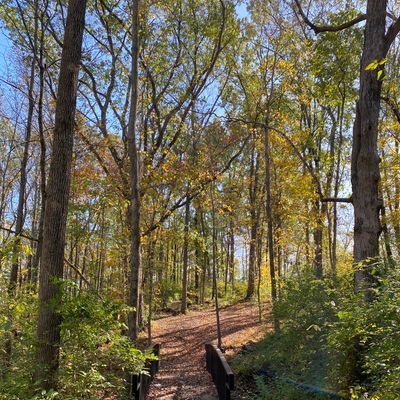 Hole three is a picturesque hole that crosses one of many tributaries feeding Jennings Creek.  A short hole to a pin finishing up hill and to the right. 