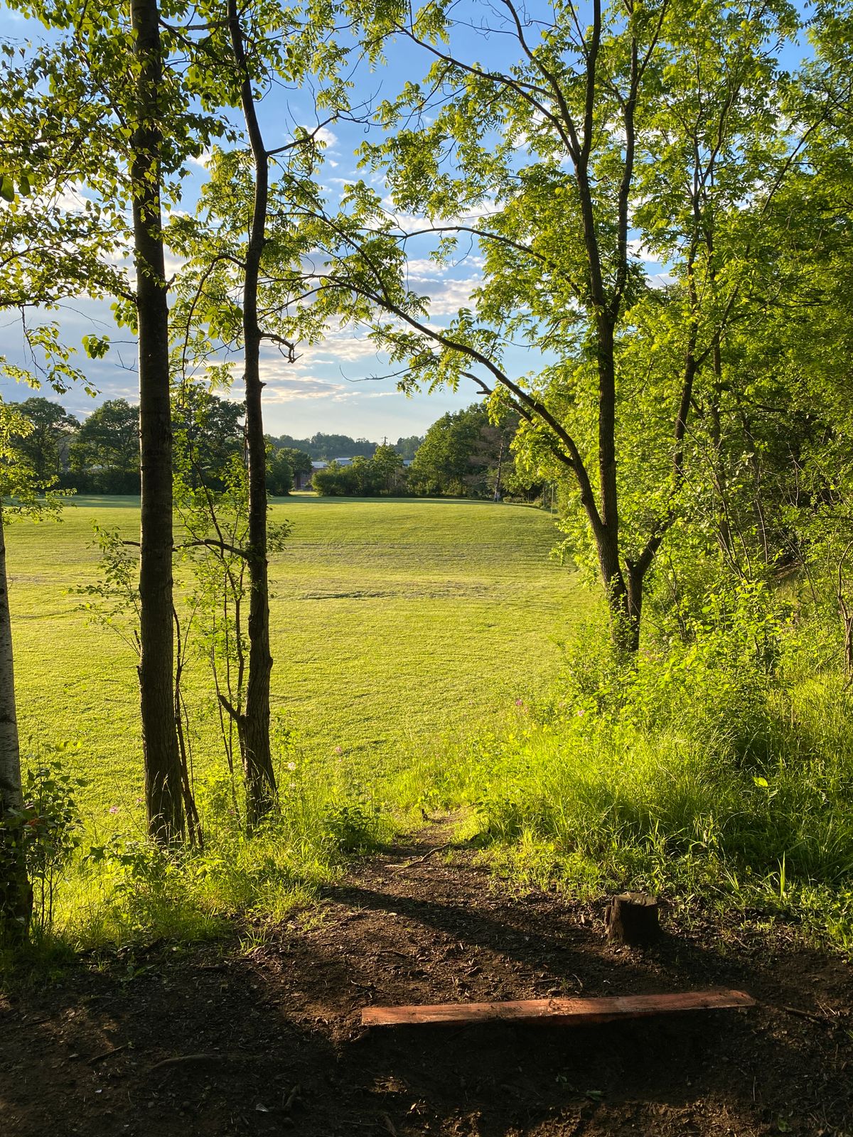 Hole 6 Long Tee