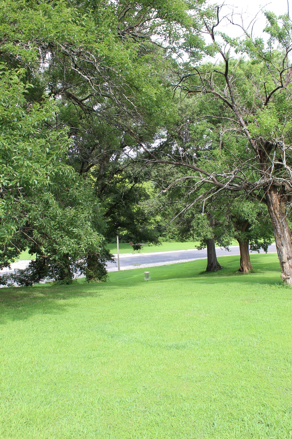 Hole 18 (Basket)