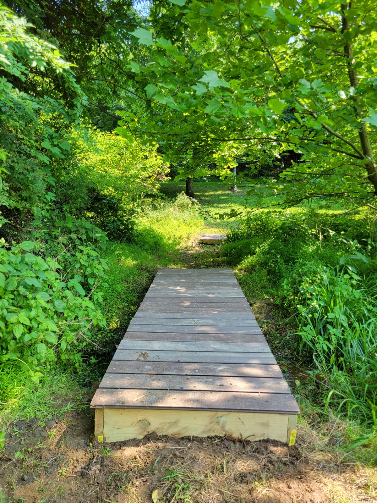 Hole 7 bridges