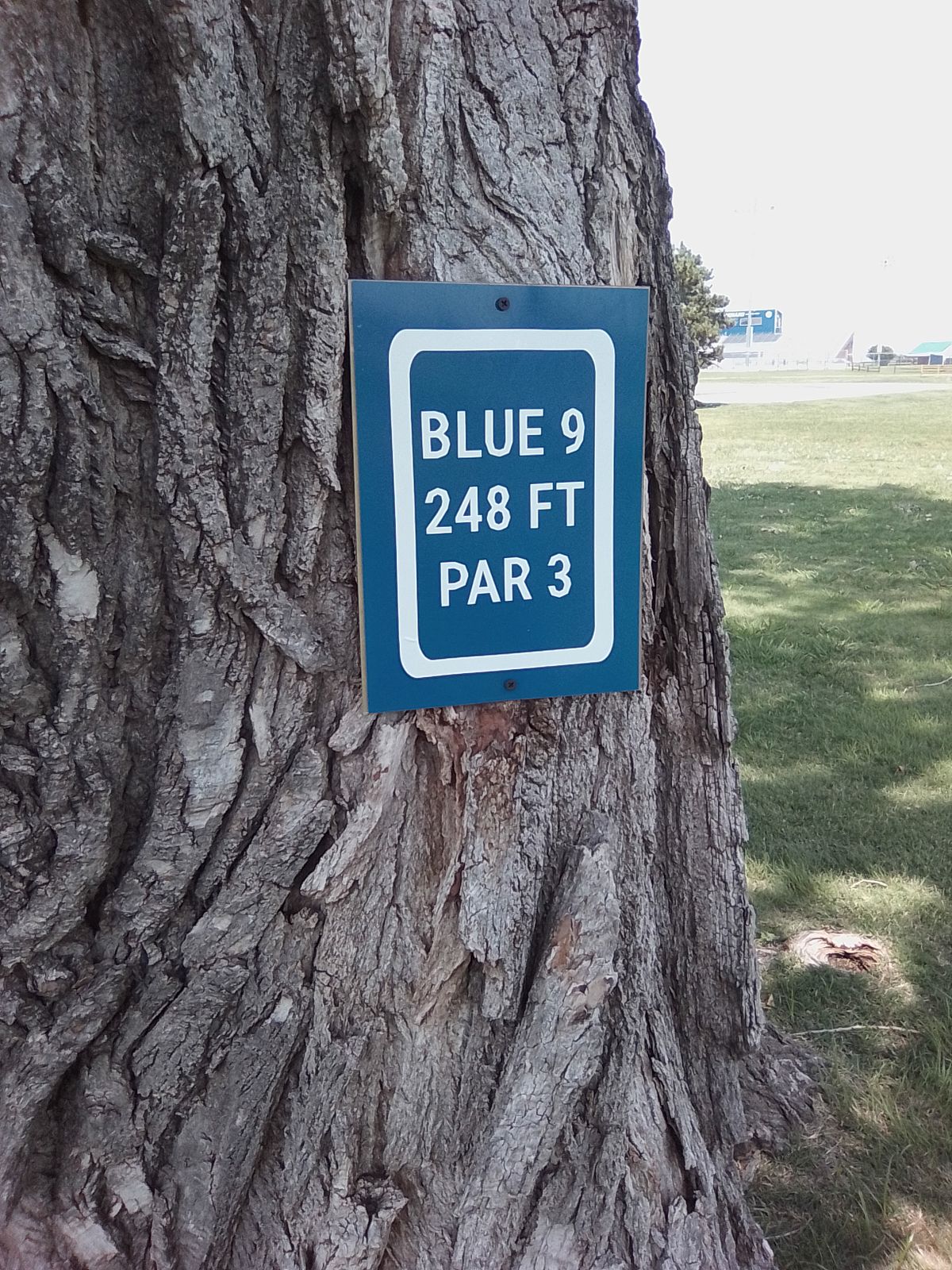 (Blue Tee Sign #9)