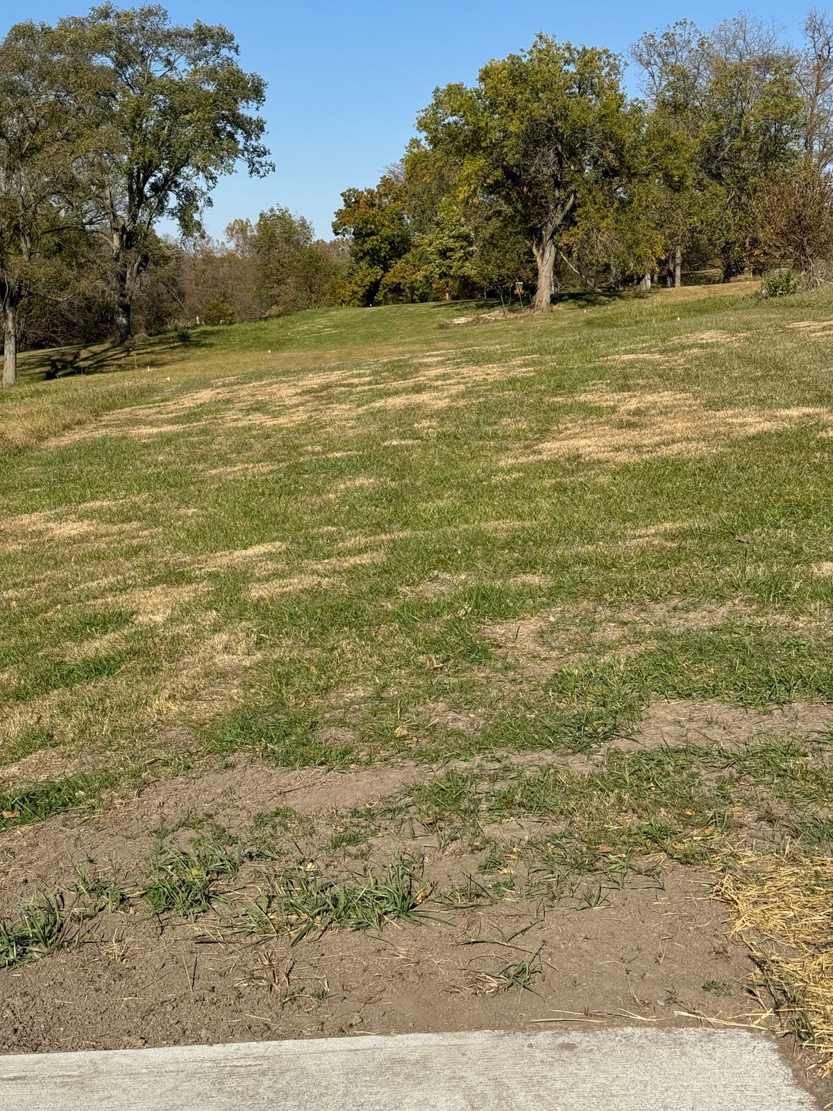 Hole 11