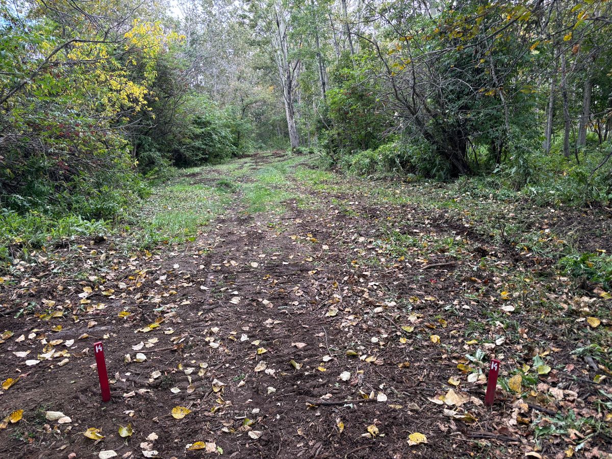 Hole 14 Reds