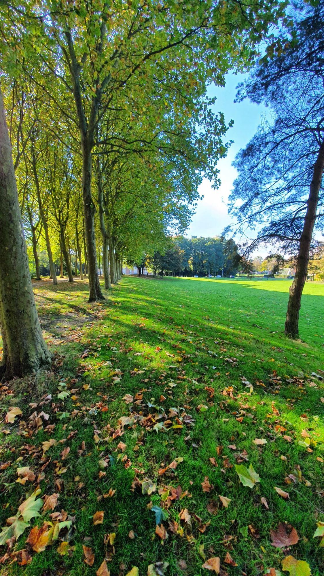 Hole 17