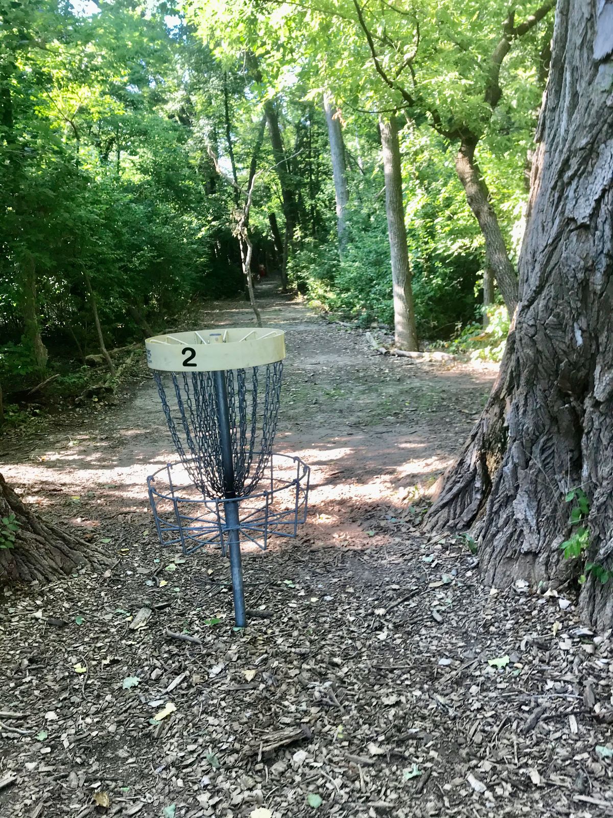 Hole 2 Basket to Tee (A)