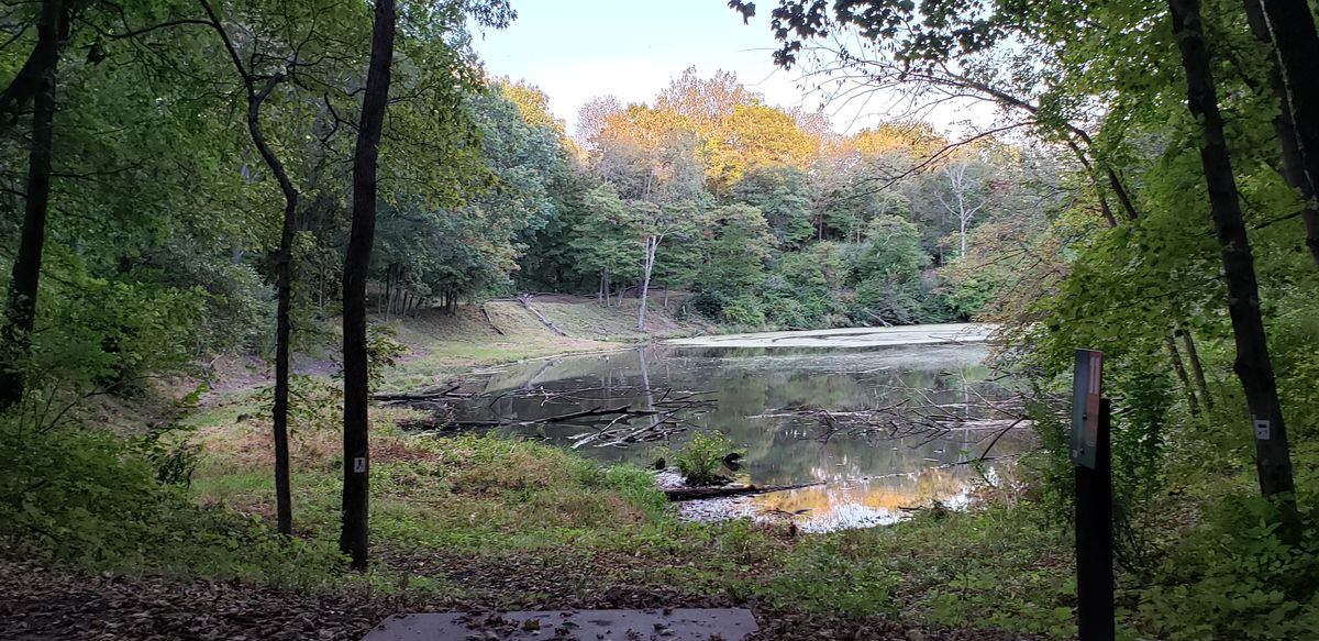 Tee pad #11