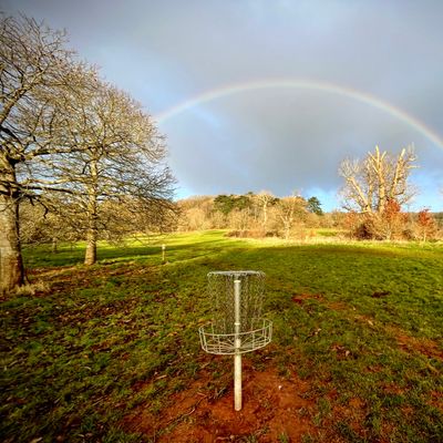 Basket of hole 2