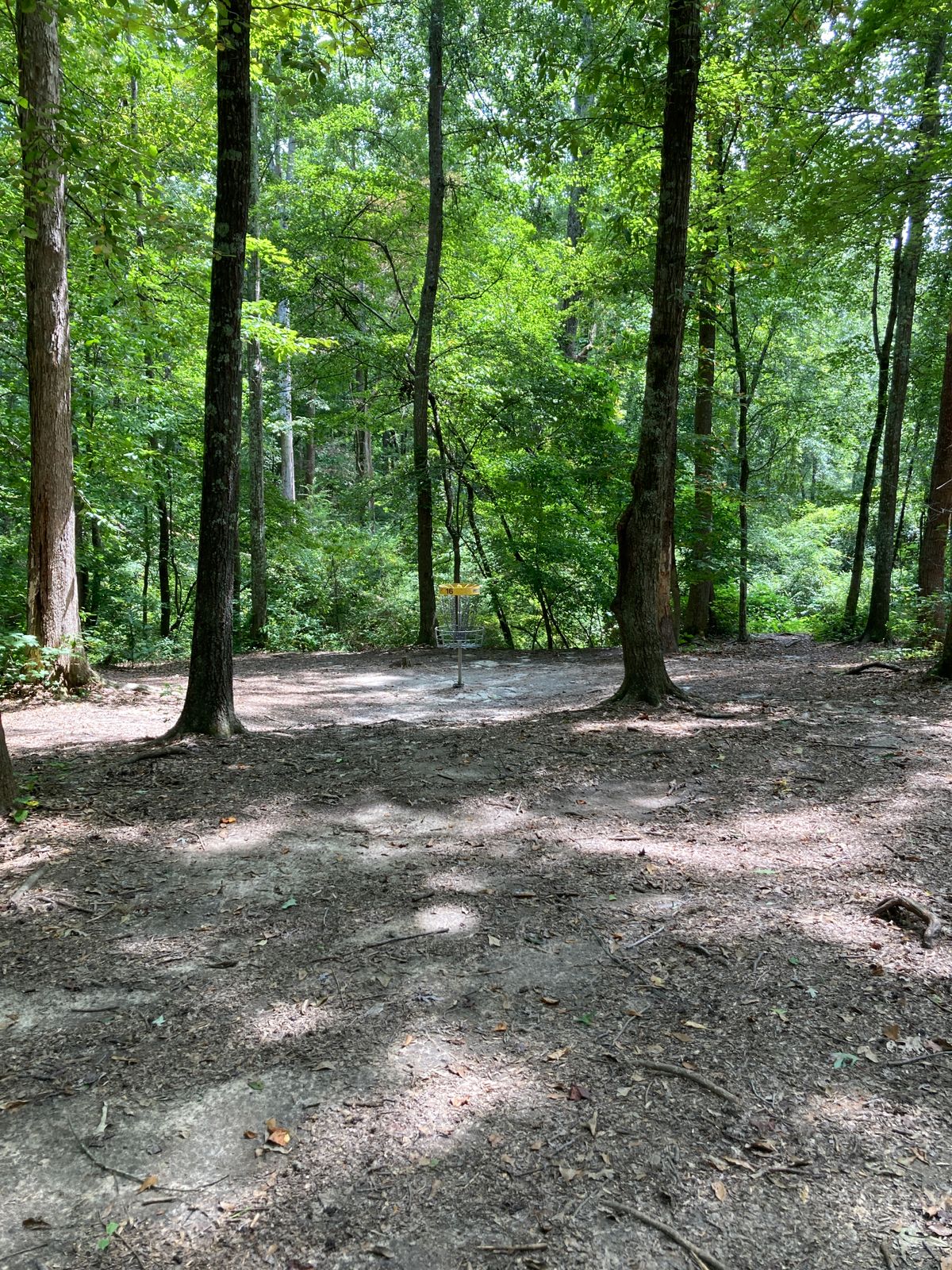 Hole 16 - basket - huge drop off into casual creek 30ft behind basket