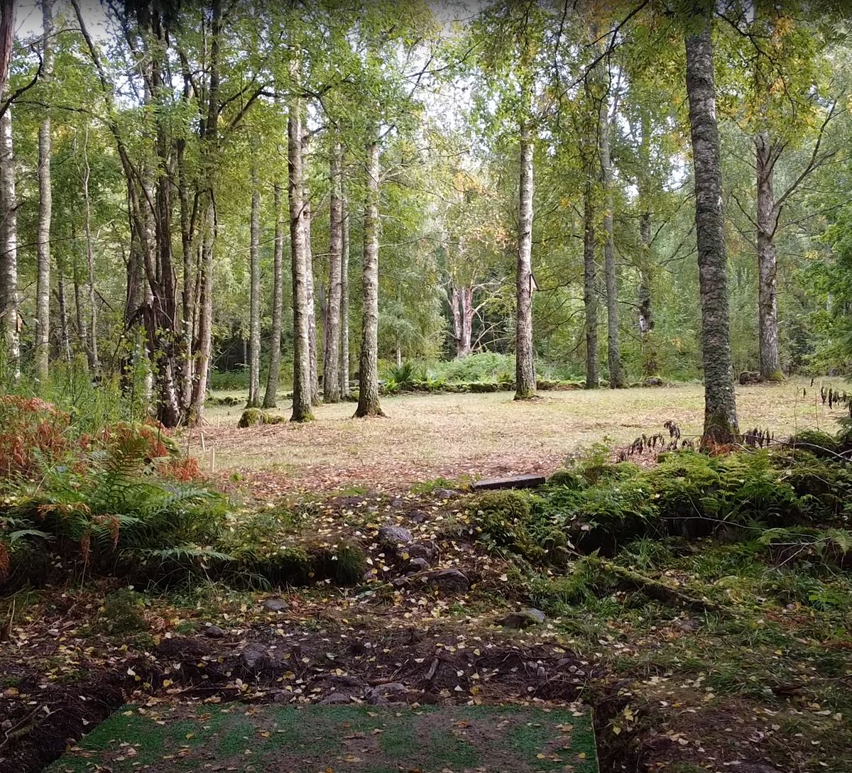 Hål 10 - Tee + Fairway