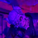 dfleming001